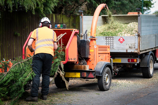 Best Lawn Watering Services  in San Rlos, CA