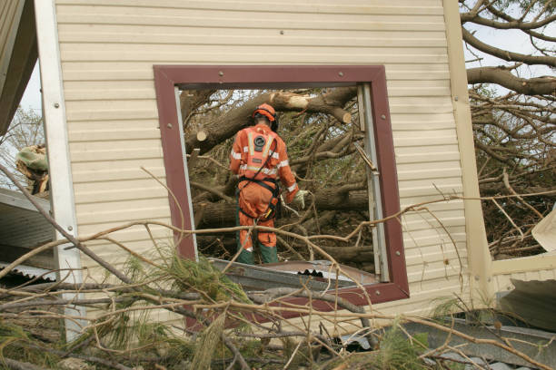 Best Root Management and Removal  in San Rlos, CA